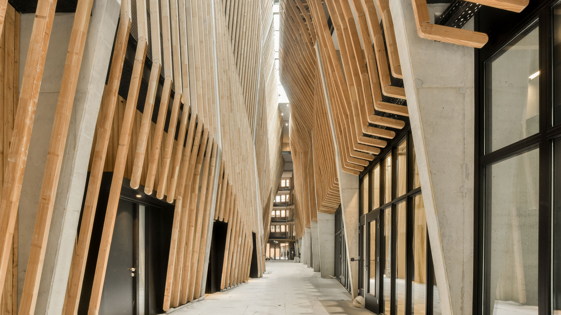 Future-Proof Your Business – Achieve Carbon Neutrality
