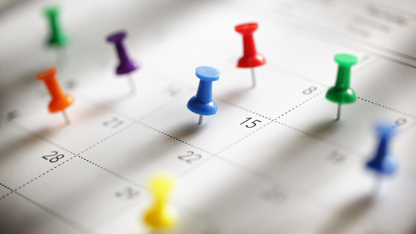 Diary dates: what’s on in May
