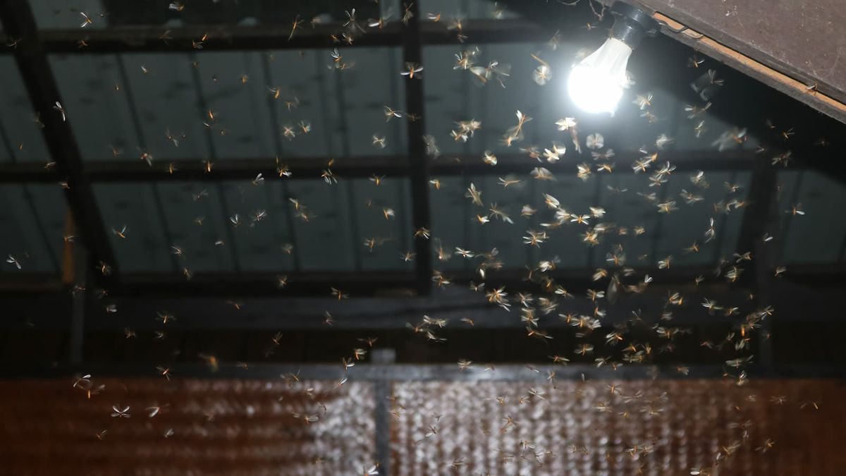 From buyer beware to seller beware? Landmark £32.5m moth mansion case shakes up property law