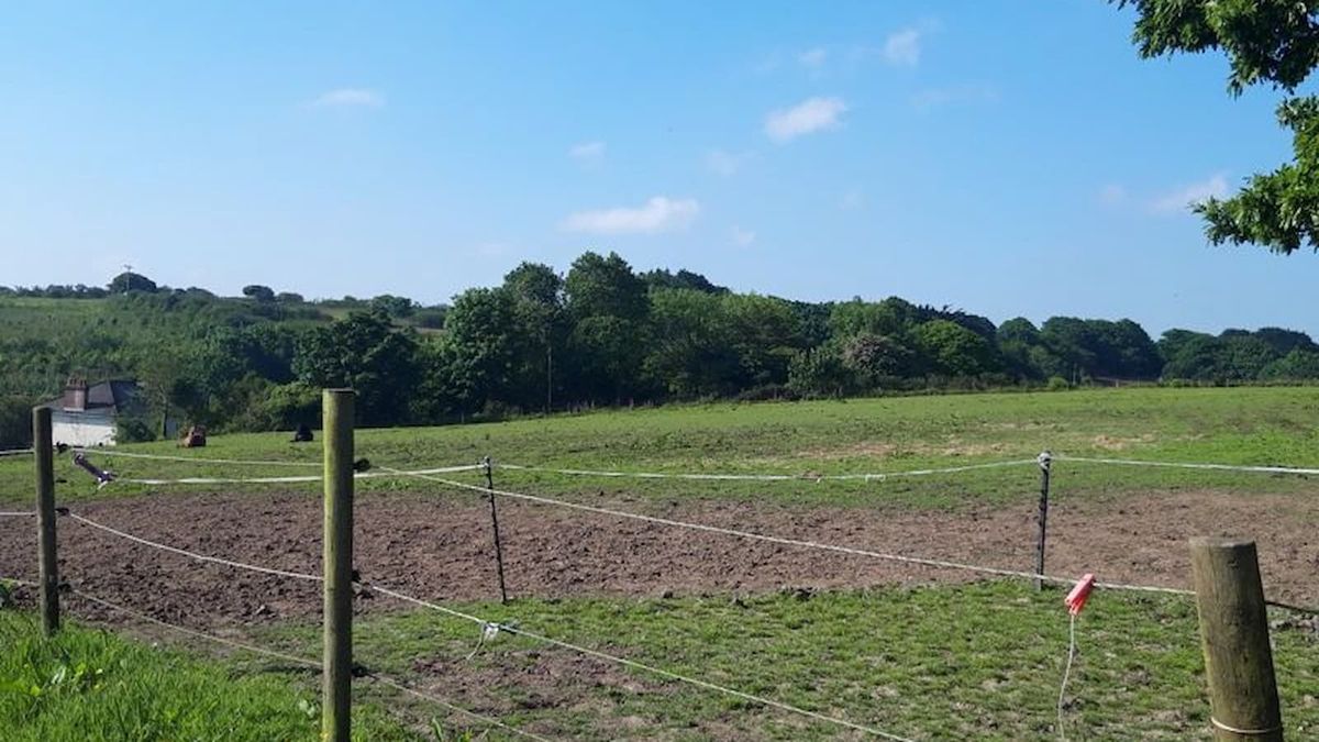 Equestrian plot with development potential hits the market in Vogue St. Day