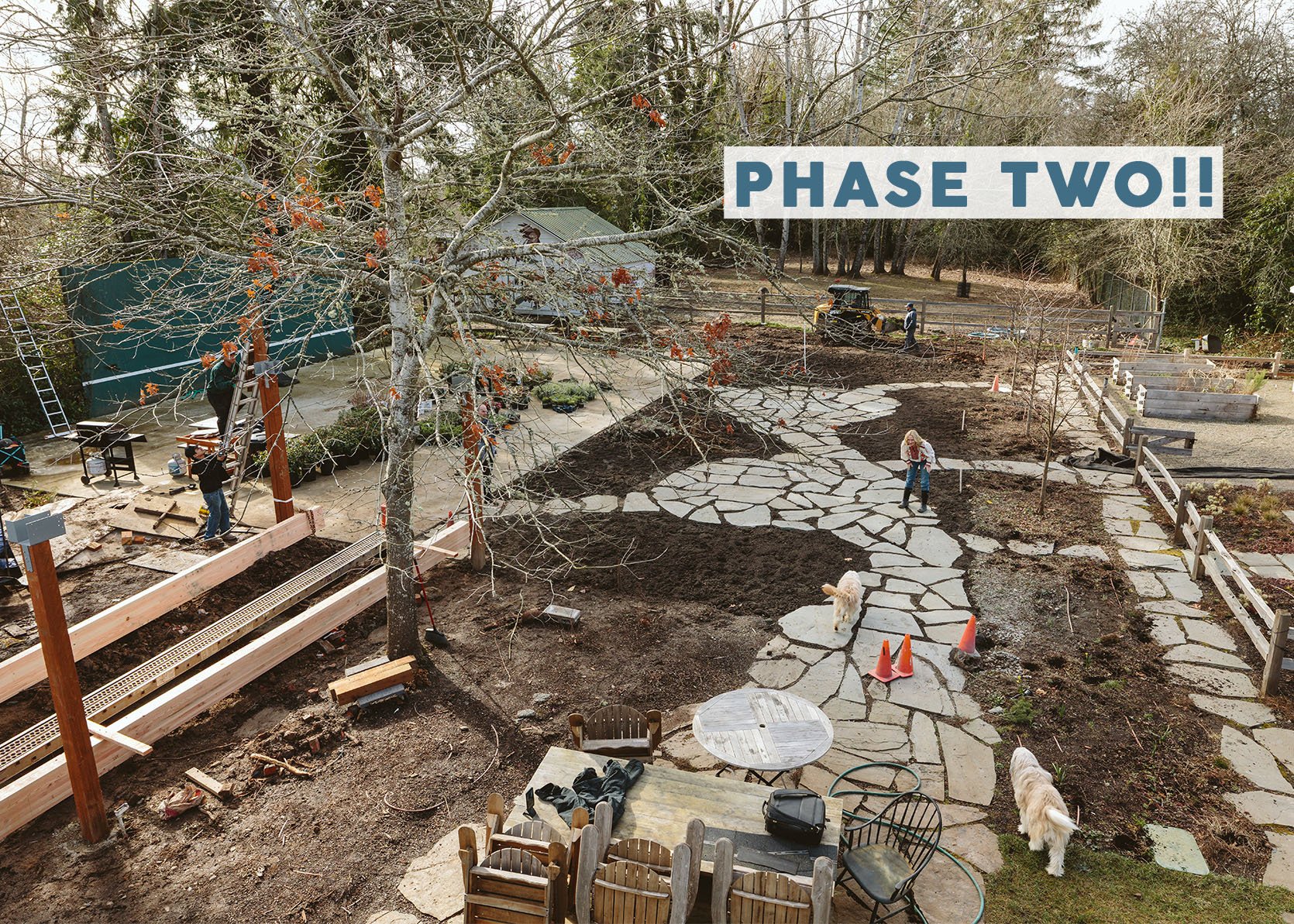 Backyard Updates: Plants, Plans, Big Trees And Bigger Gazebos