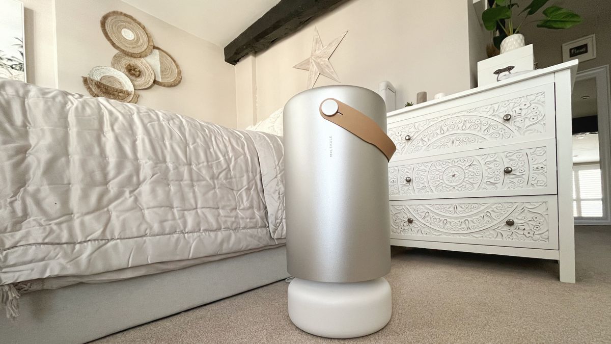 I tested the Molekule Air Pro to eliminate airborne toxins in my home