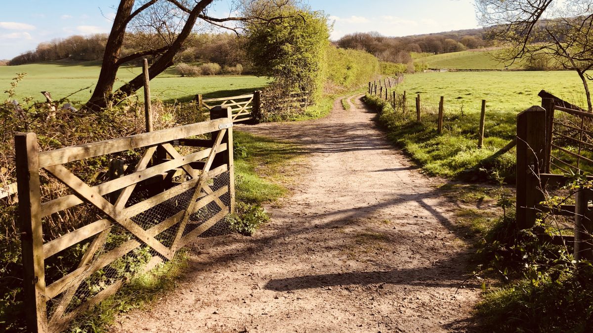 Track leading through wooden gate with fields on either side