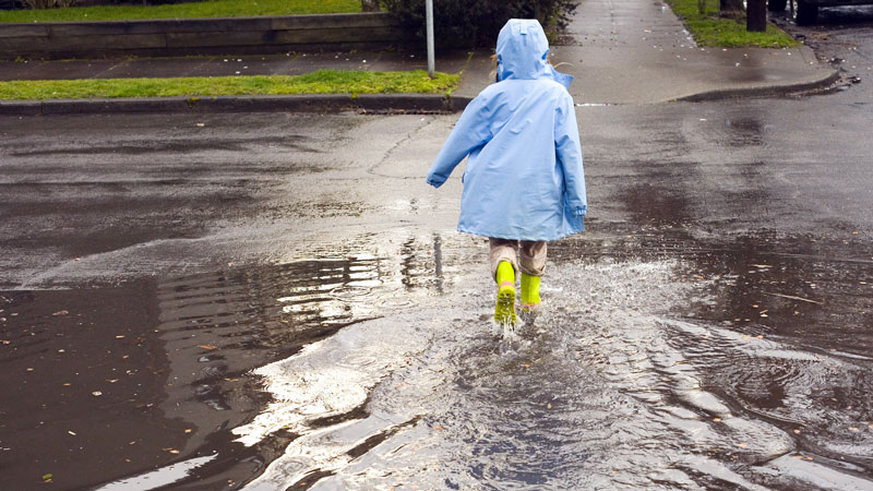 Make Your Business a Little Greener with a Rain Water System