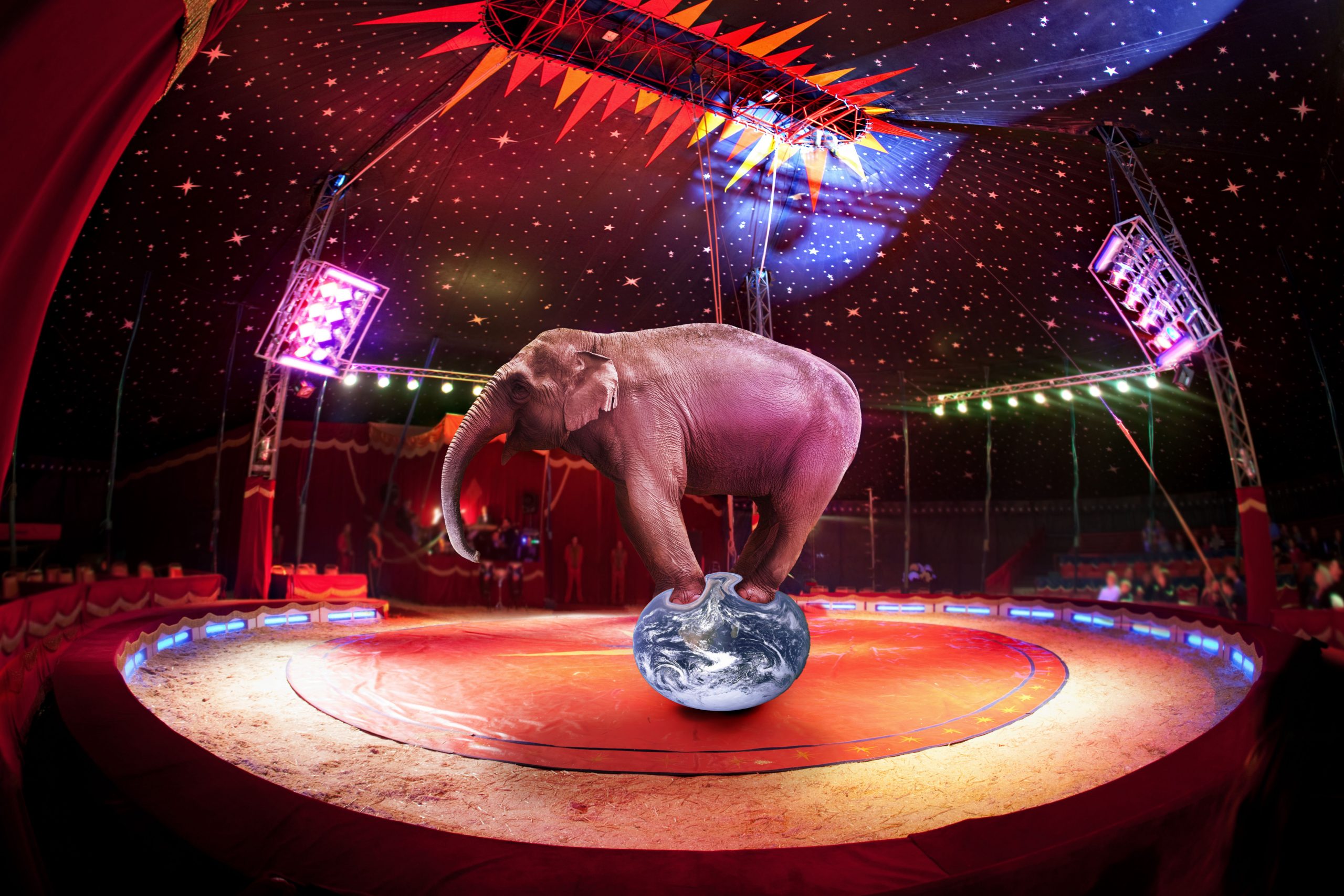 The Elephant in the Circus