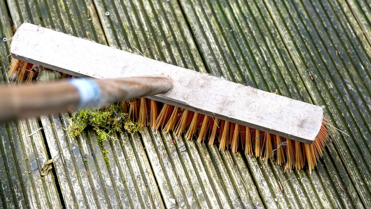 Experts reveal what is the fastest way to remove algae from decking — including cost-effective DIY solutions