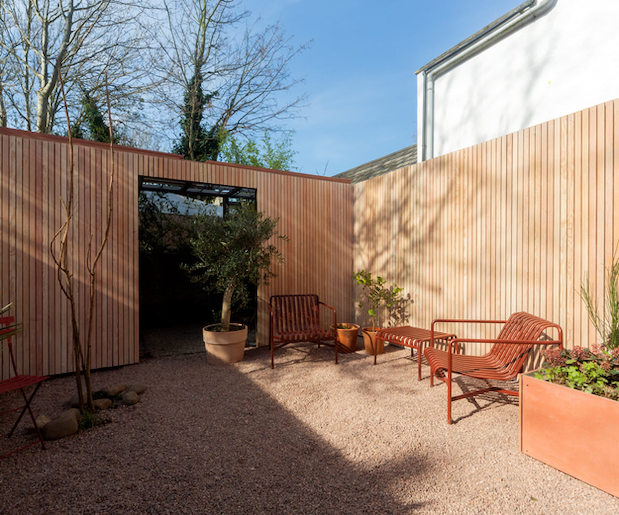 A gravelled garden with timber walls and an olive tree
