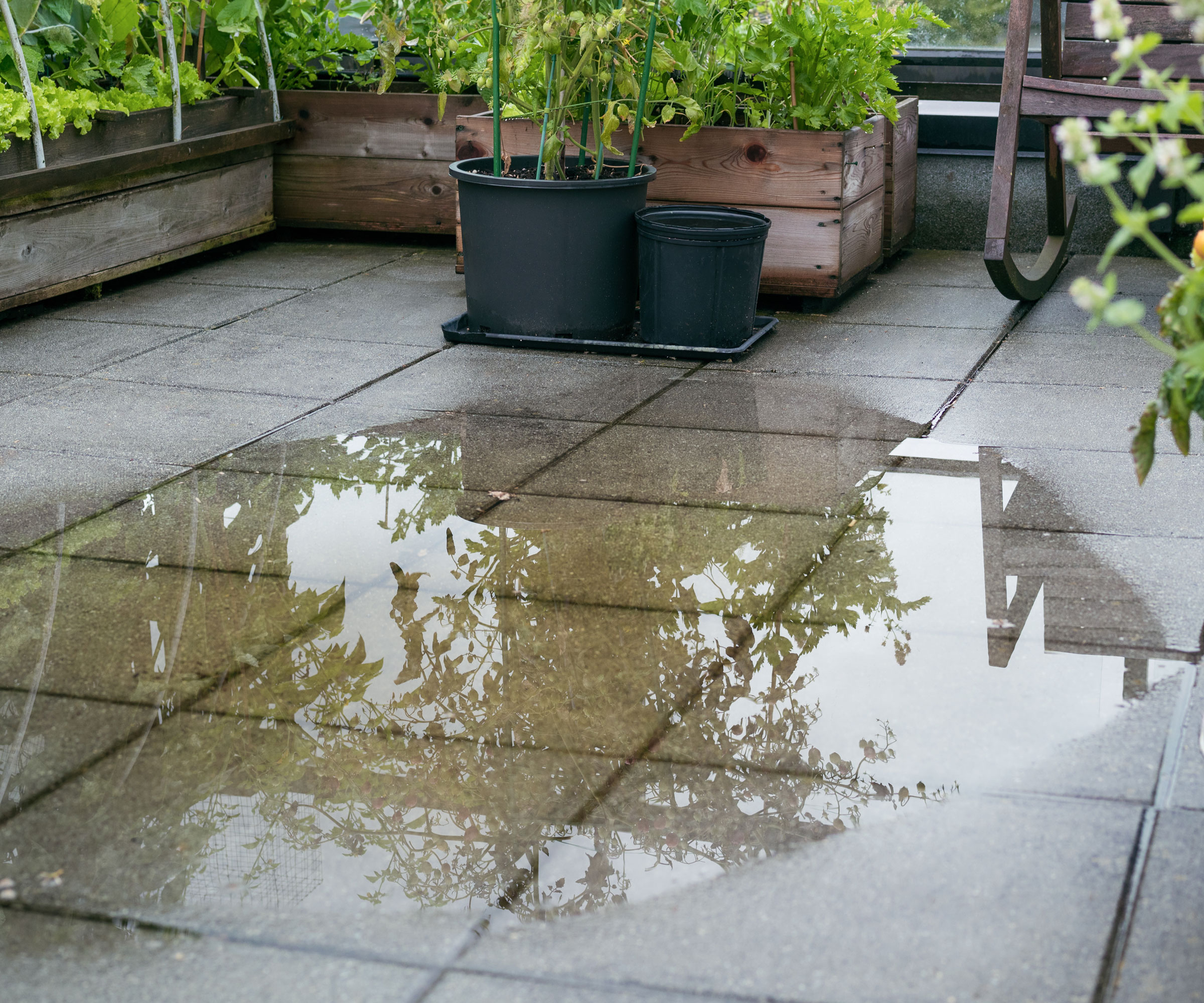 flooded patio with planters, raised beds and chair