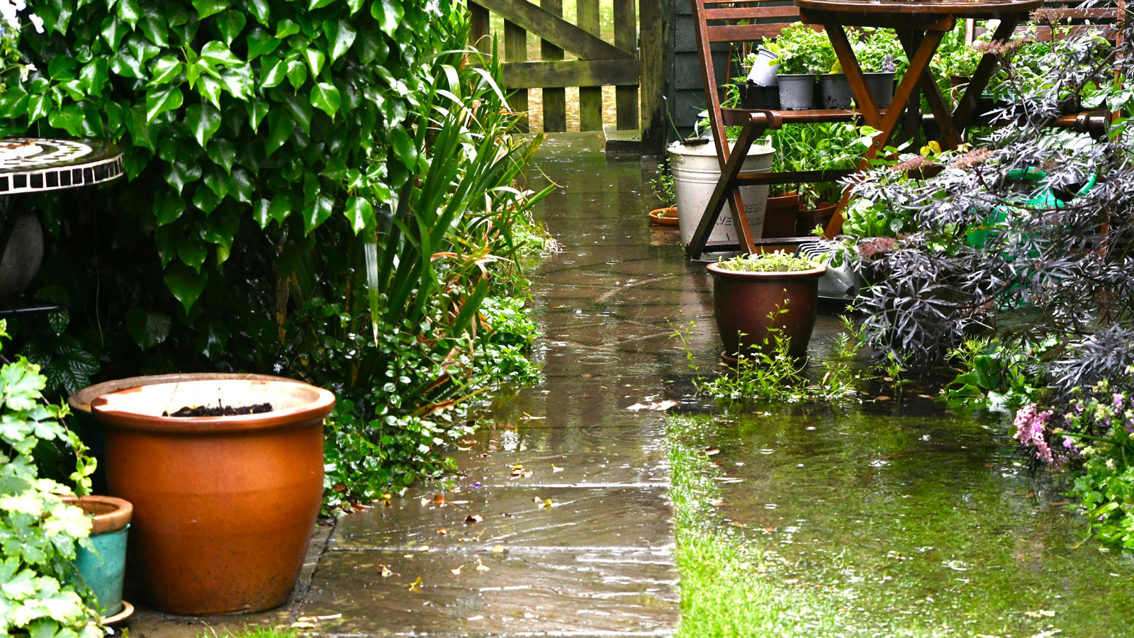 Where to put drainage in your garden