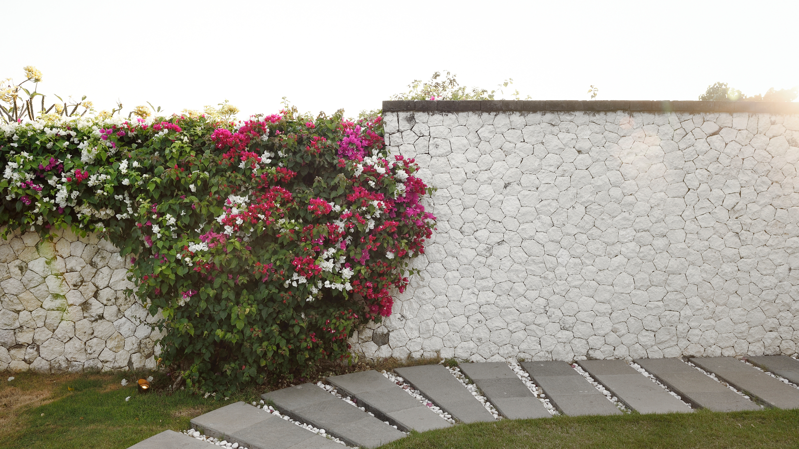 Garden wall height regulations UK: Why your rear wall can be larger than the front