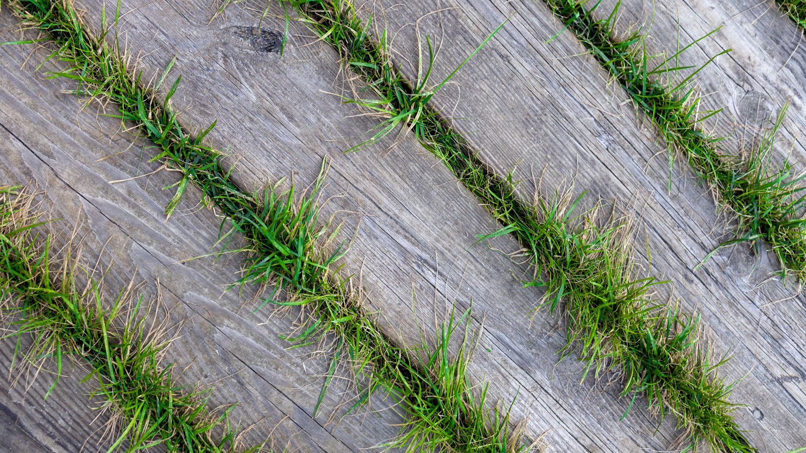 Is laying decking on grass a good idea? Get expert answers