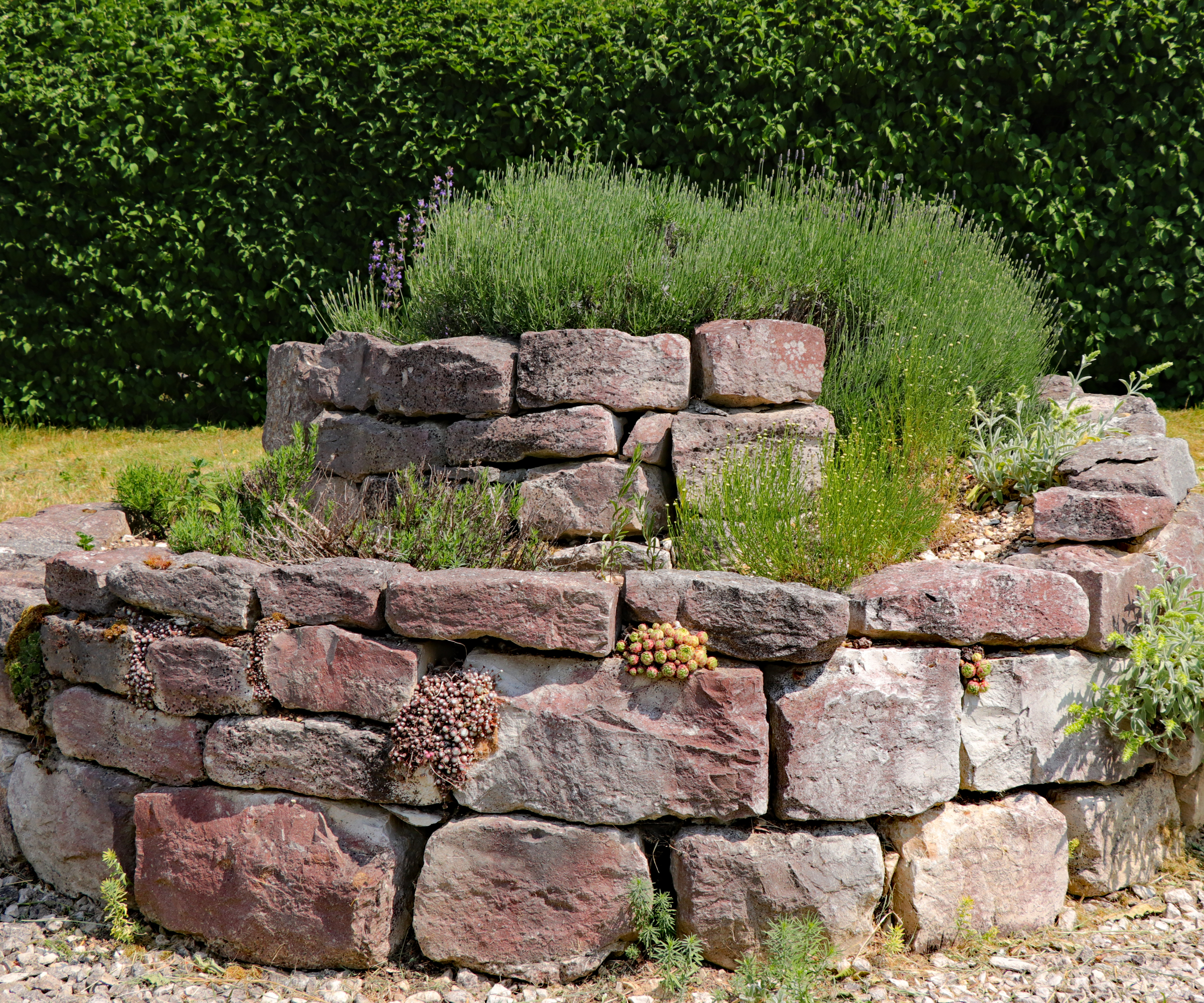 herb wheel made from stone and brick