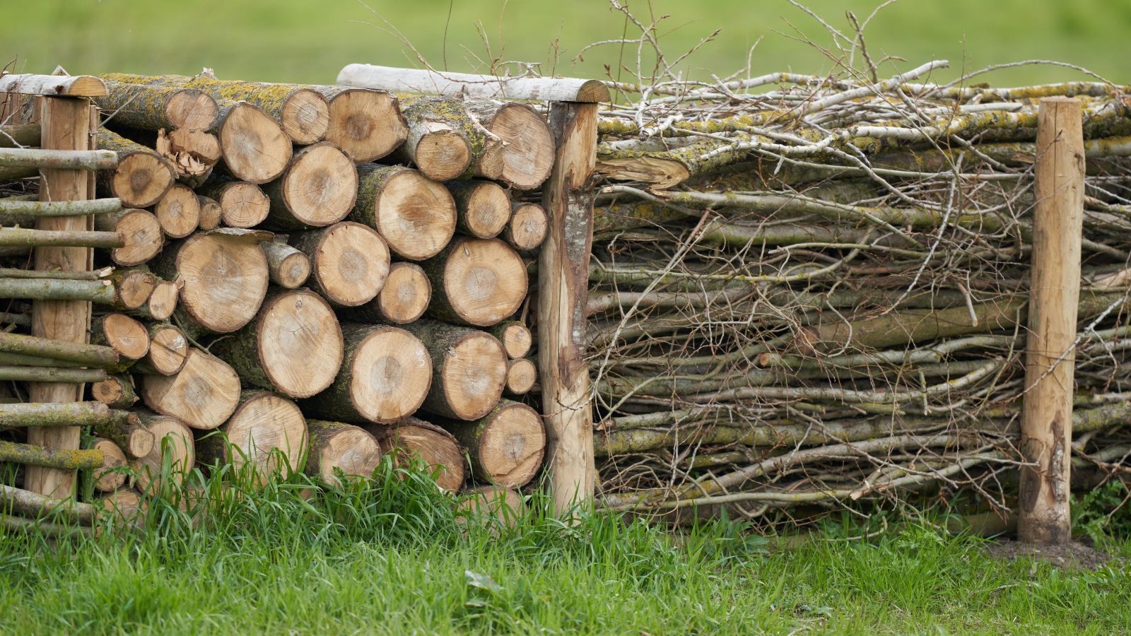 How to build a dead hedge: A step-by-step guide