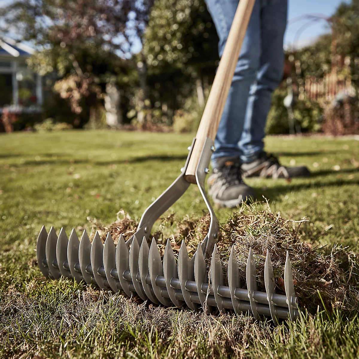 Close up of Magnusson scarifier being used on lawn