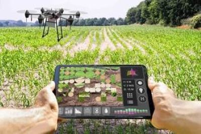 The Rising Wave of Agritech Platforms Revolutionizing Farming