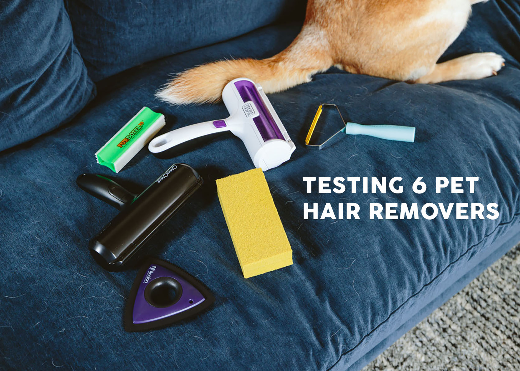Pet Hair Problems? We Put 6 Gadgets To The Test To See Which Picks It Up The Best