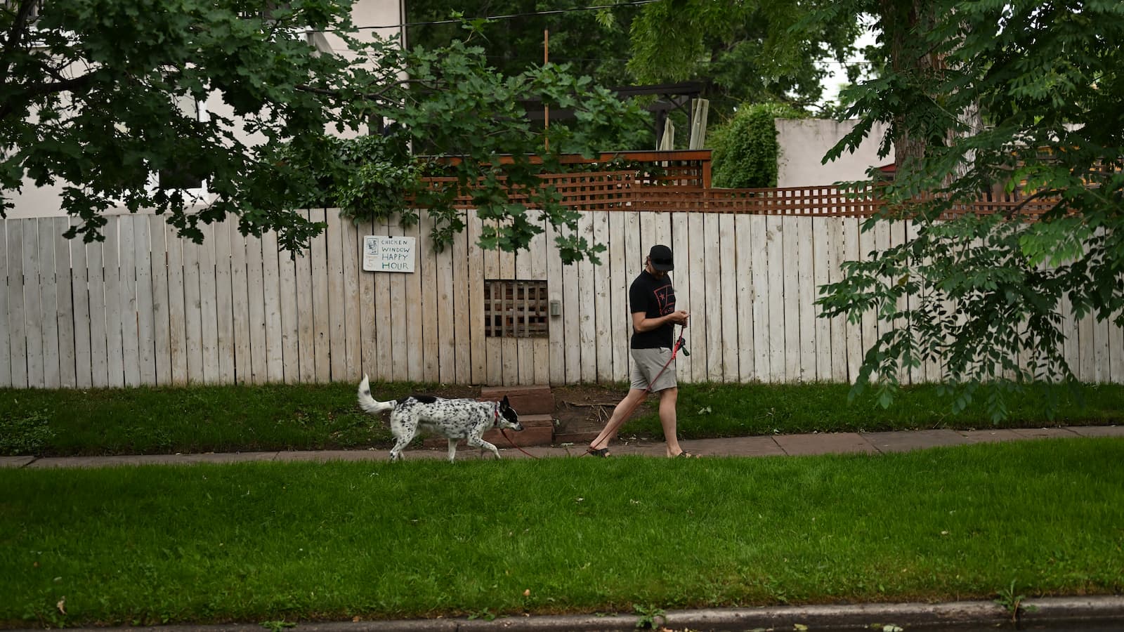 Homeowner furious after being told to take down fence protecting her garden from dog mess