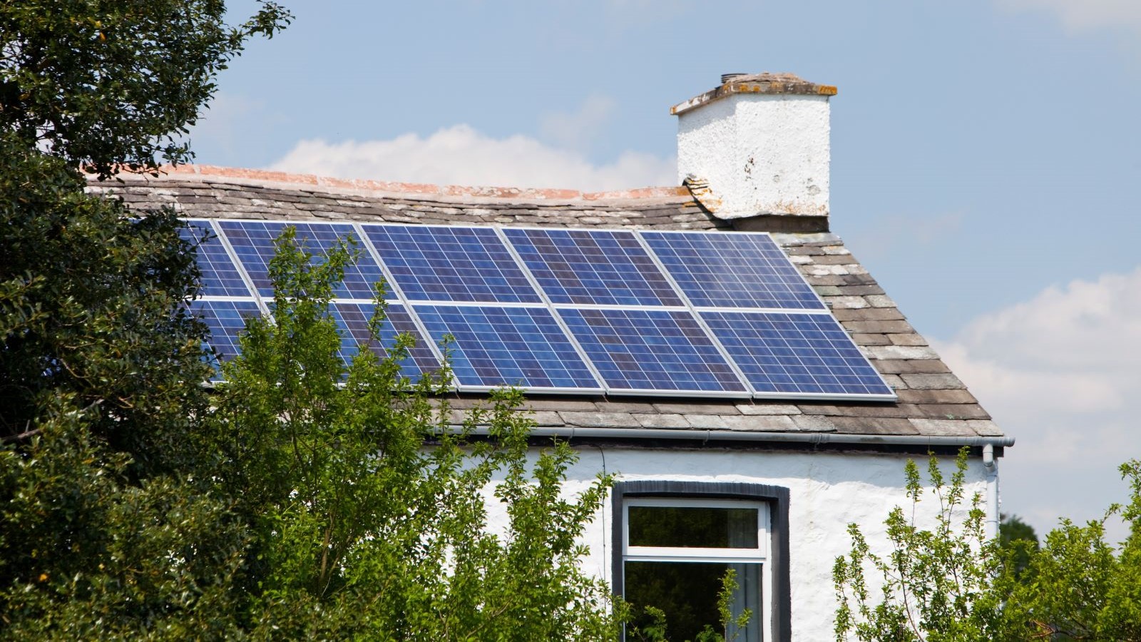 Great British Energy blocks use of solar panels linked to forced labour