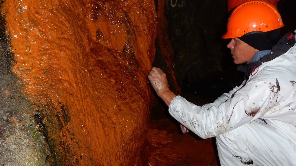 Study Finds Concrete-eating Bacteria on Road Tunnels