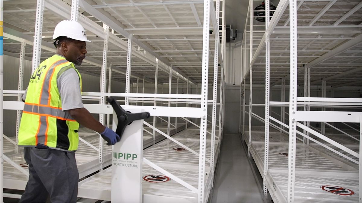 Inside DAG’s vision for a greener, more sustainable future