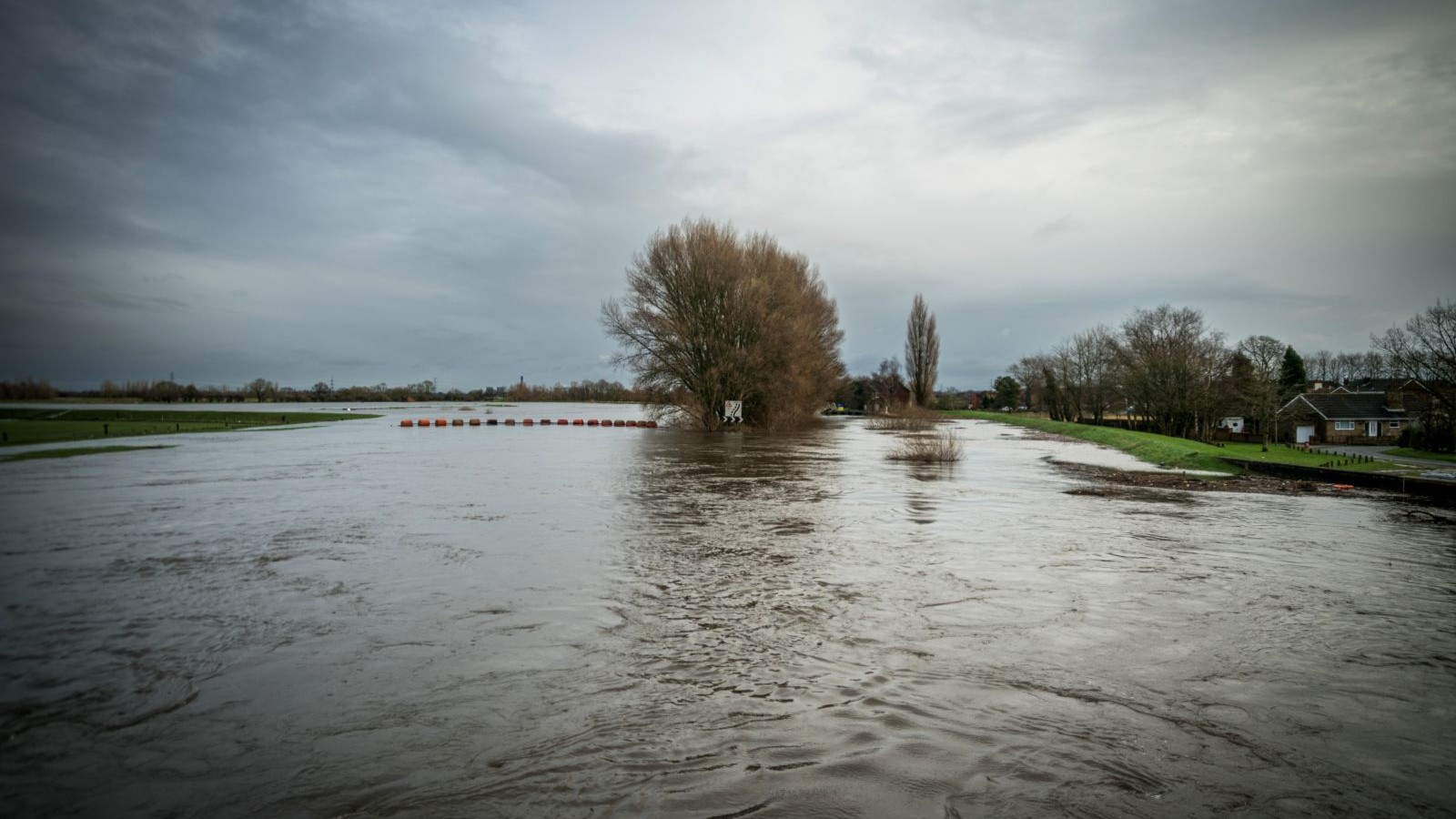 A flooded area of land with a tree and houses to the right