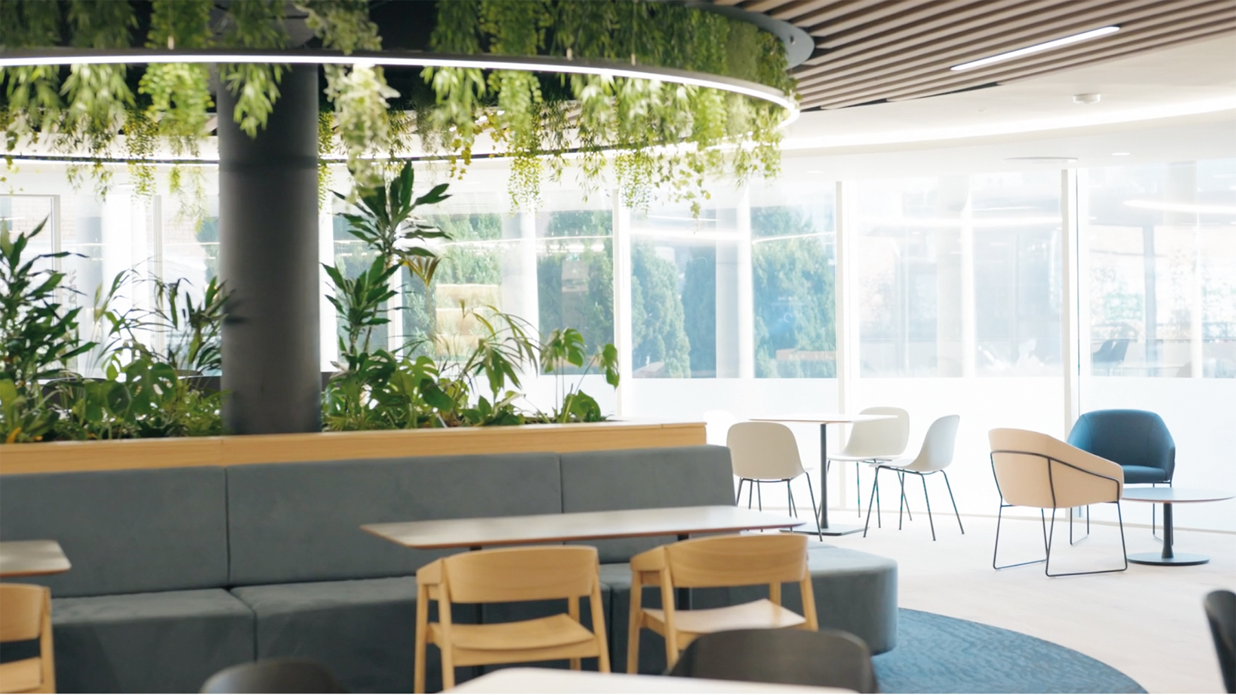 Sustainability in SMEs: How one company is leading the way