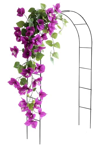 Divchi Black Metal Garden Arbour Arch Steel Frame Garden Arch for Climbing Plants, Roses