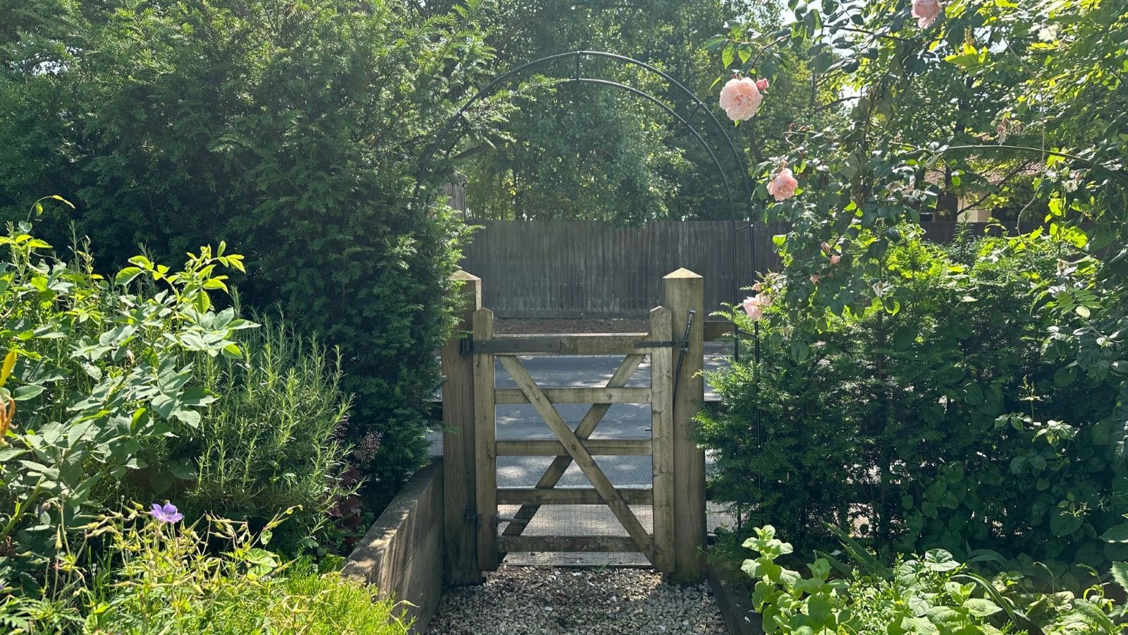 How I used a cheap Amazon arch to train hedges in my garden