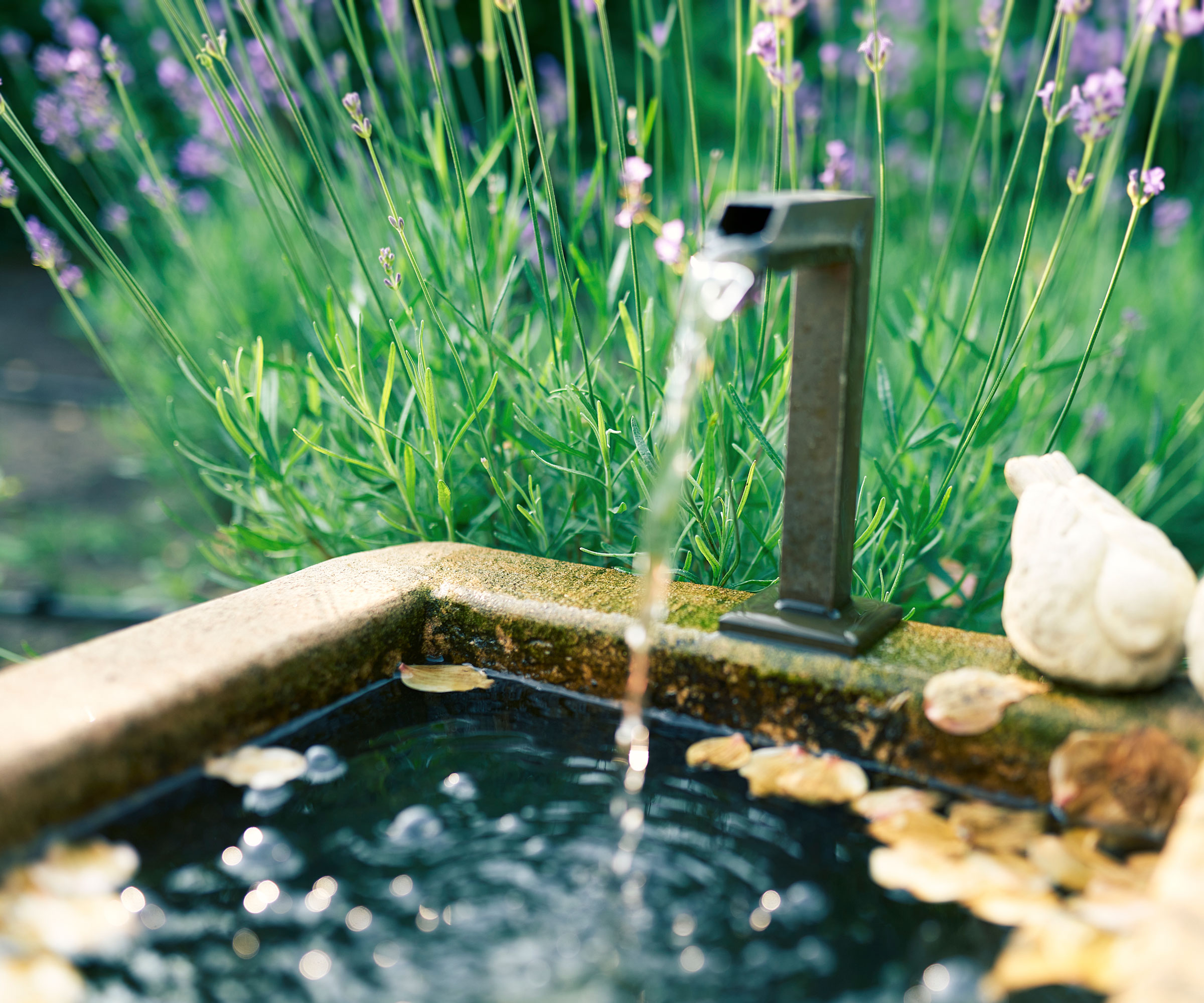 small garden water feature with spout and running water, bird sculpture and lavender plants