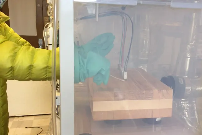 Mass timber could combat germs in hospital settings