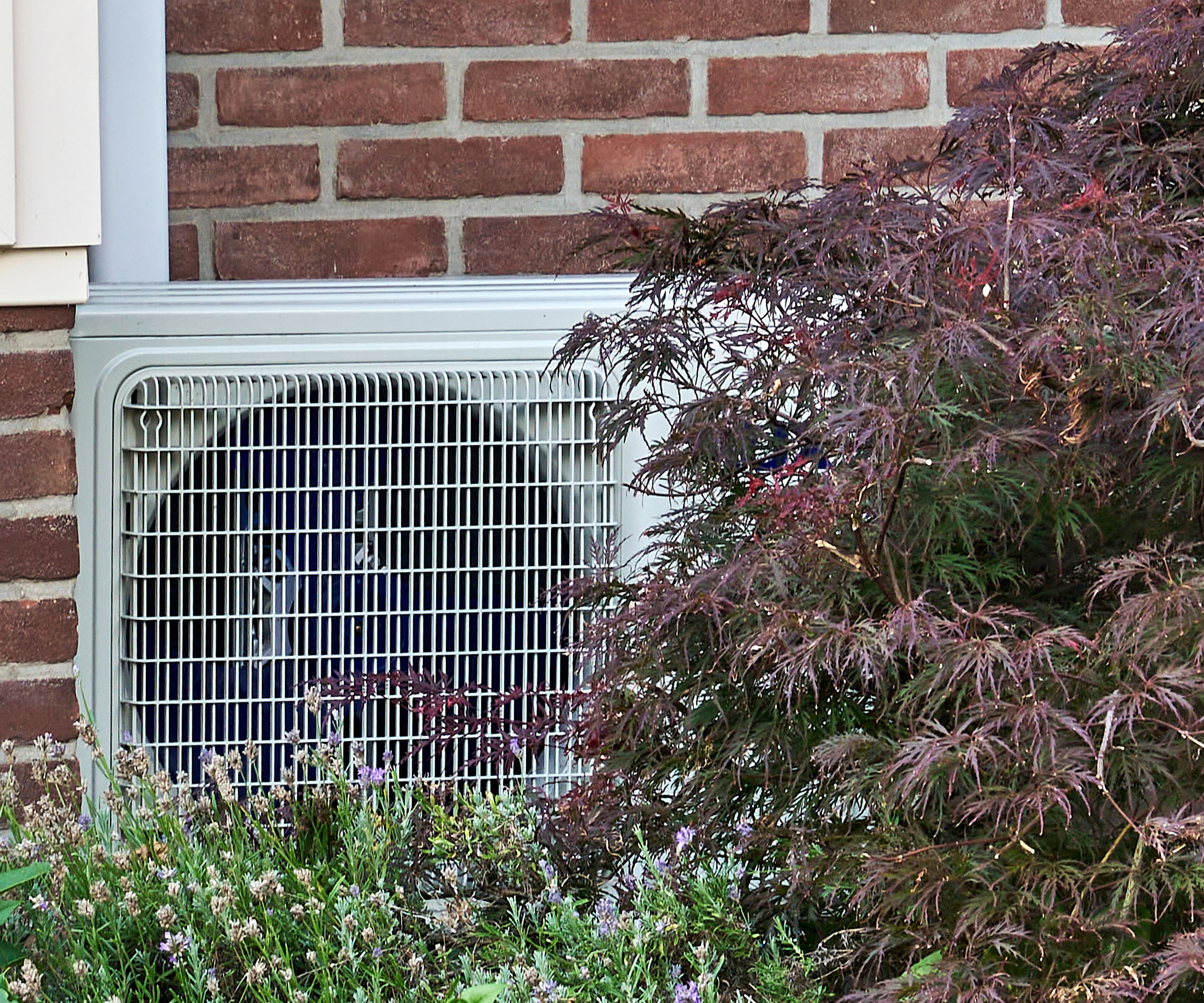air source heat pump on wall surrounded by shrubs