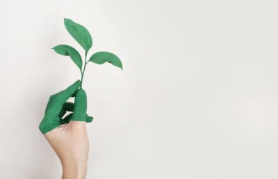 Green HVAC Solutions for a More Sustainable Home