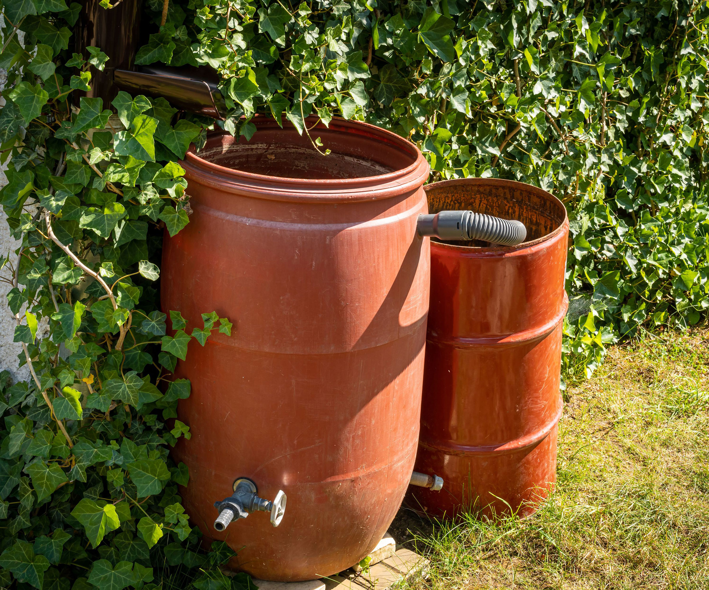 water butt on lawn with overflow pipe
