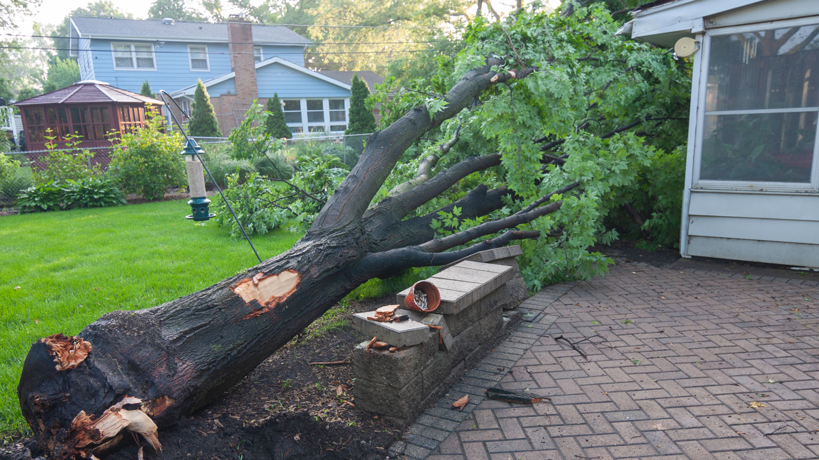 How to stormproof your garden and protect it from bad weather