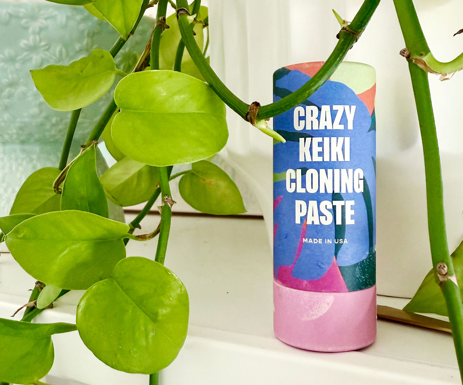 What Is Keiki Paste? And How To Use It On Your Plants