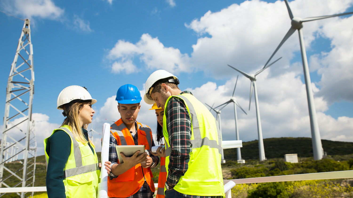 Why are we letting net zero be sabotaged?