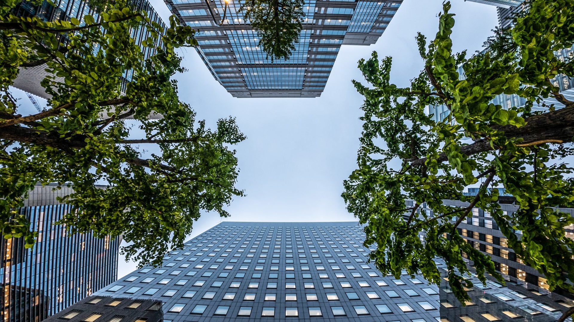 Building performance verification is construction’s next competitive battleground