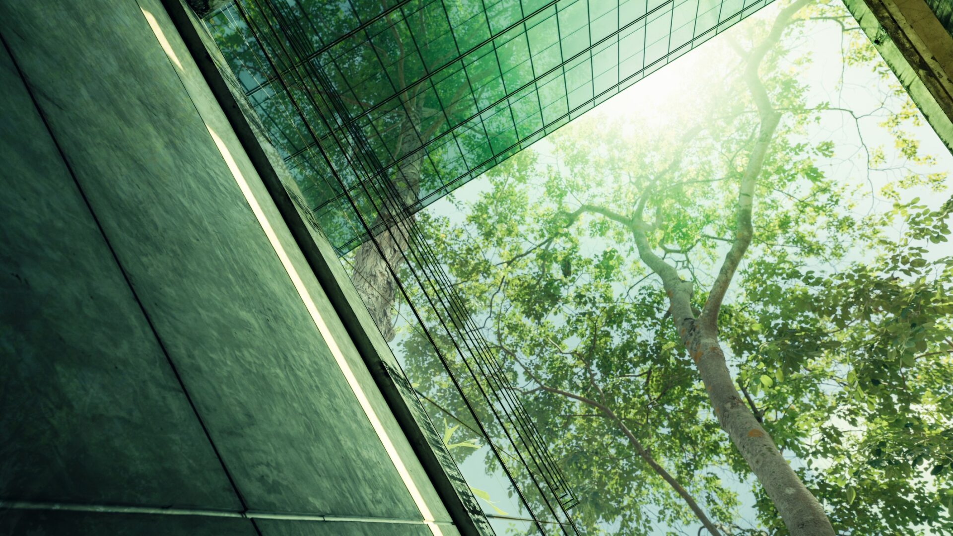 UK net-zero buildings standard - Sustainable glass office building with tree for reducing carbon dioxide - Mina Hasman writes why climate and nature literacy must be the new baseline for construction