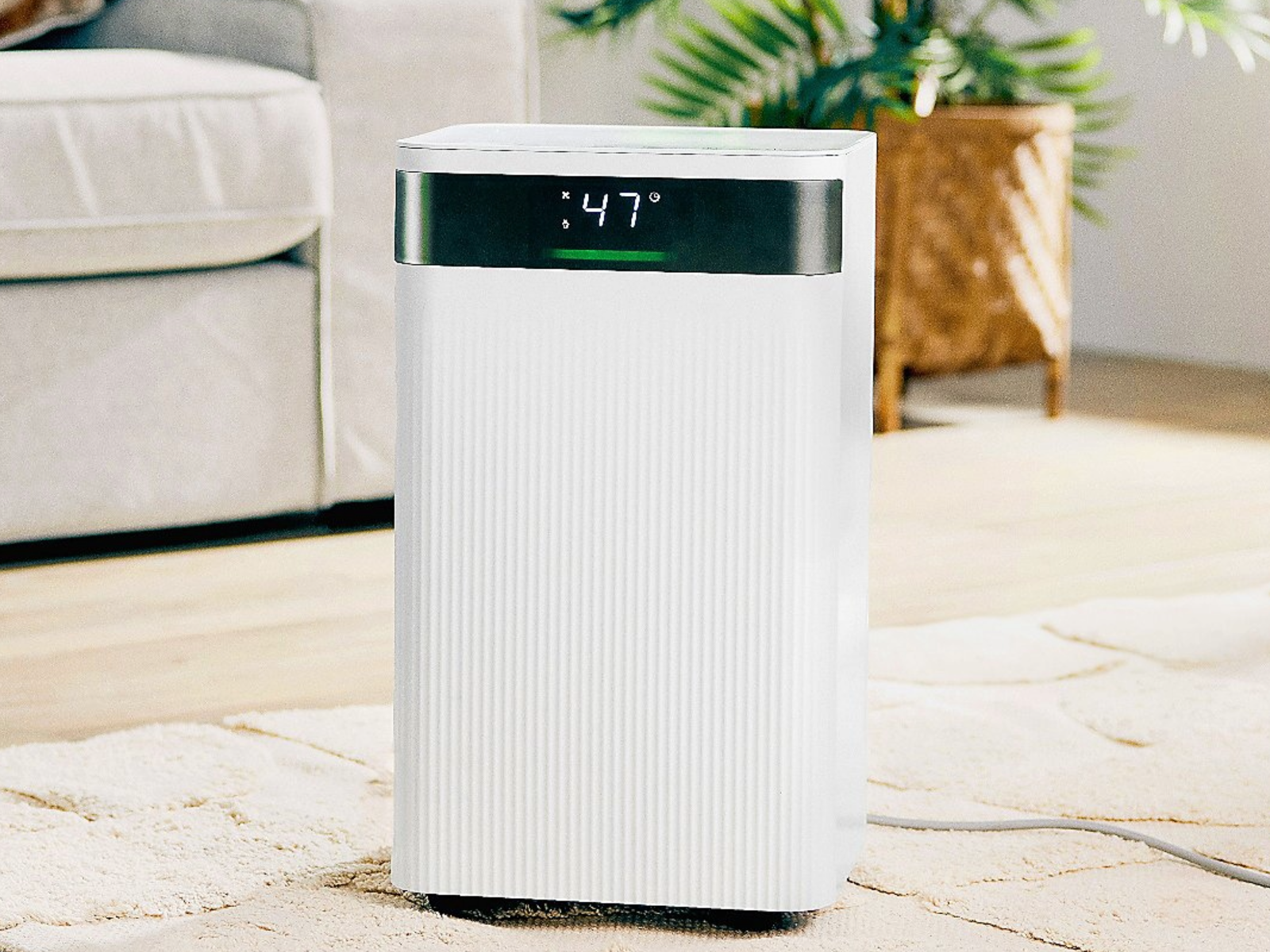 QVC is selling a top-rated dehumidifier for under £100