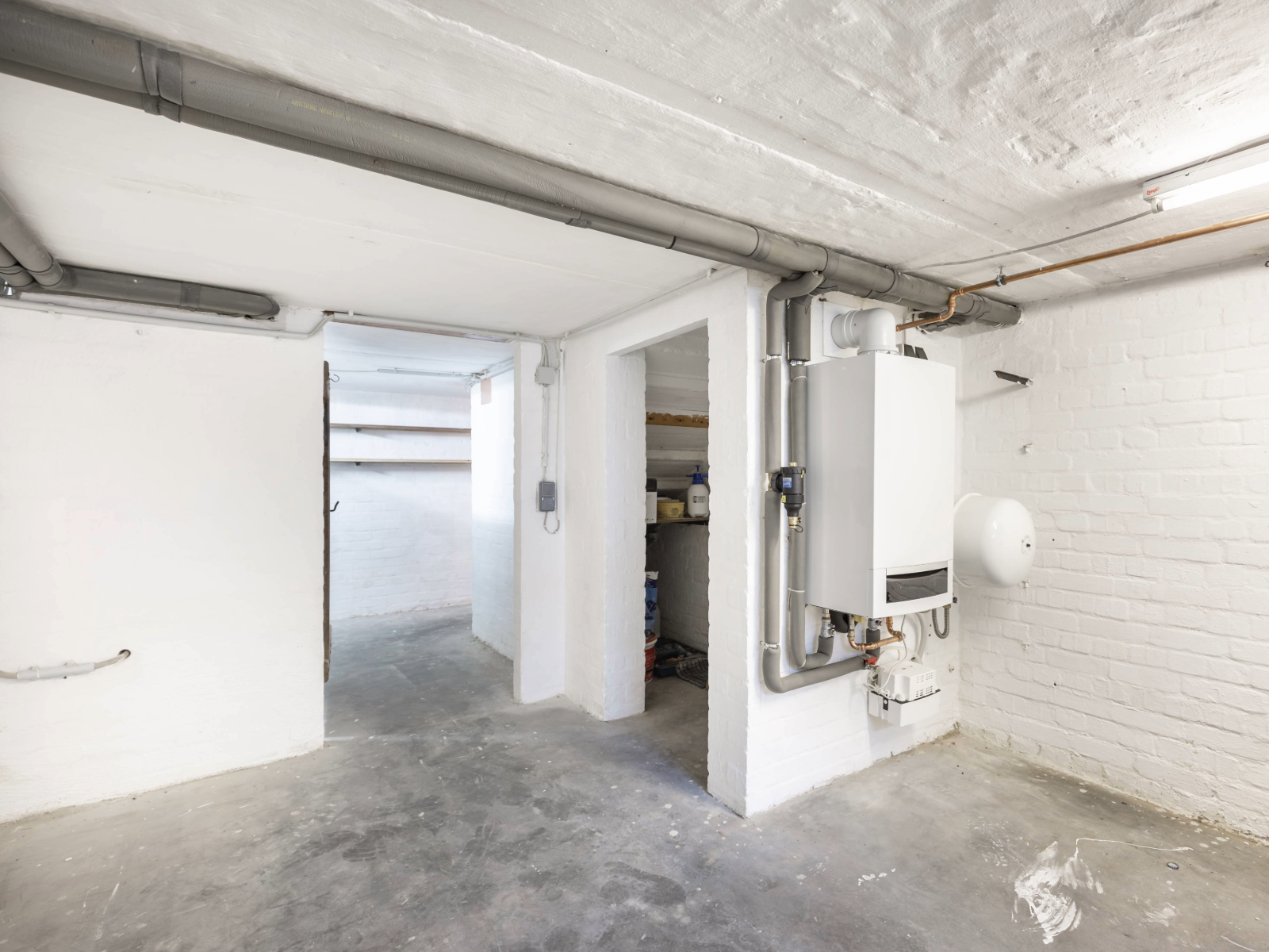 How to get rid of damp in your basement: 6 expert tips