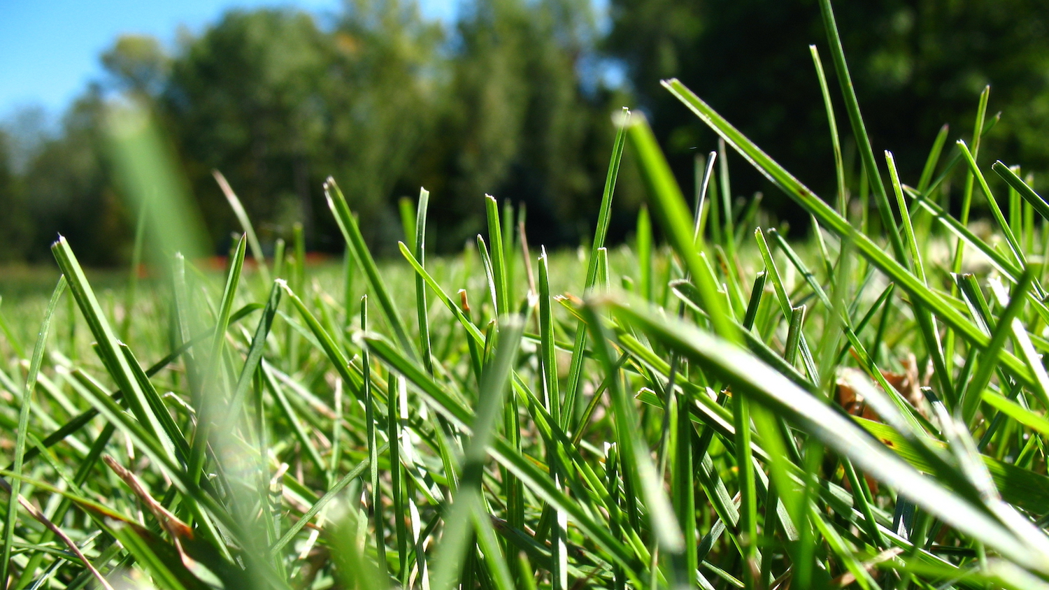 Government urged to rethink biodiversity net gain exemptions