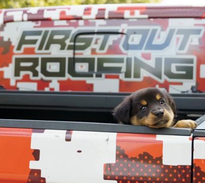 TRI-BUILT® Begins Nationwide Search for 2025 “Top Dogs”