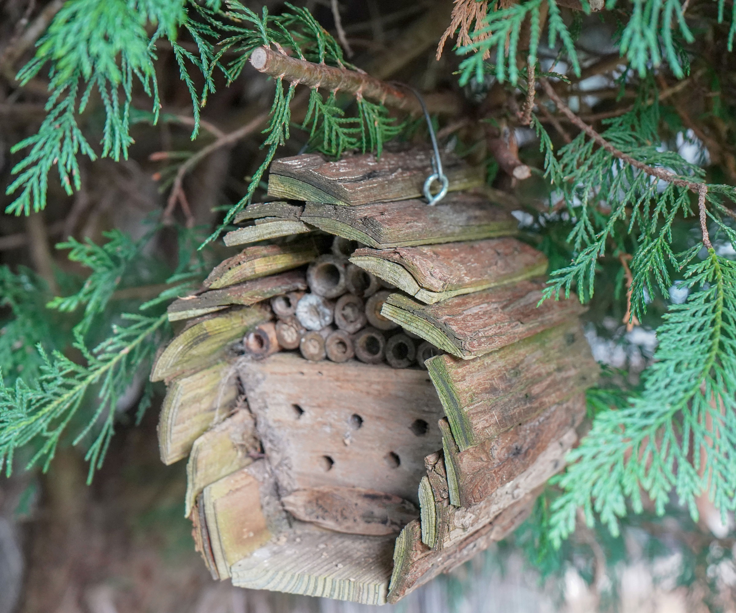 bug hotel hanging up with christmas tree branches