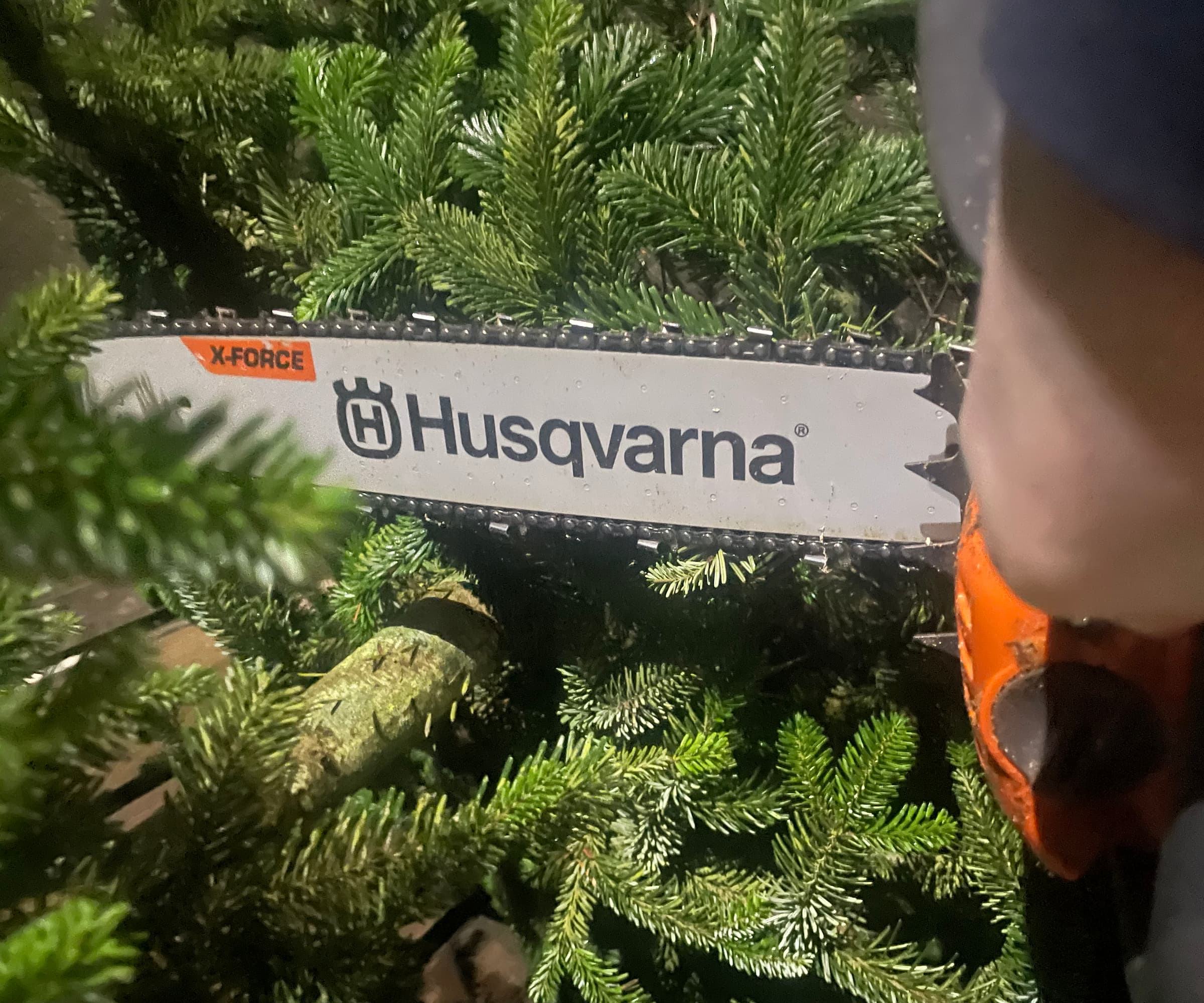 A Christmas tree being cut by a chainsaw