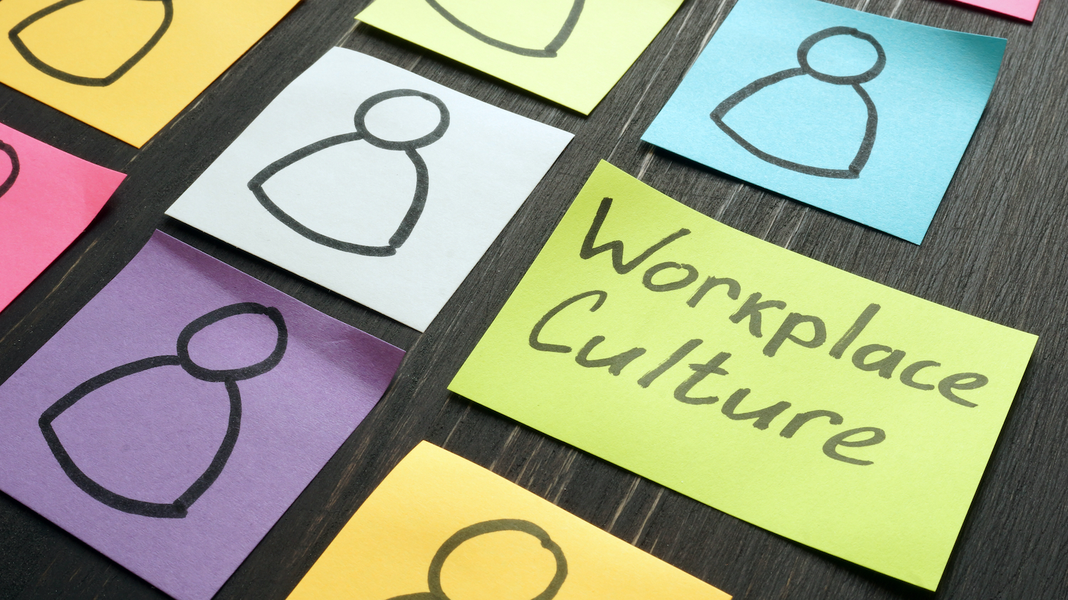 Why construction SMEs rise and fall on behaviours