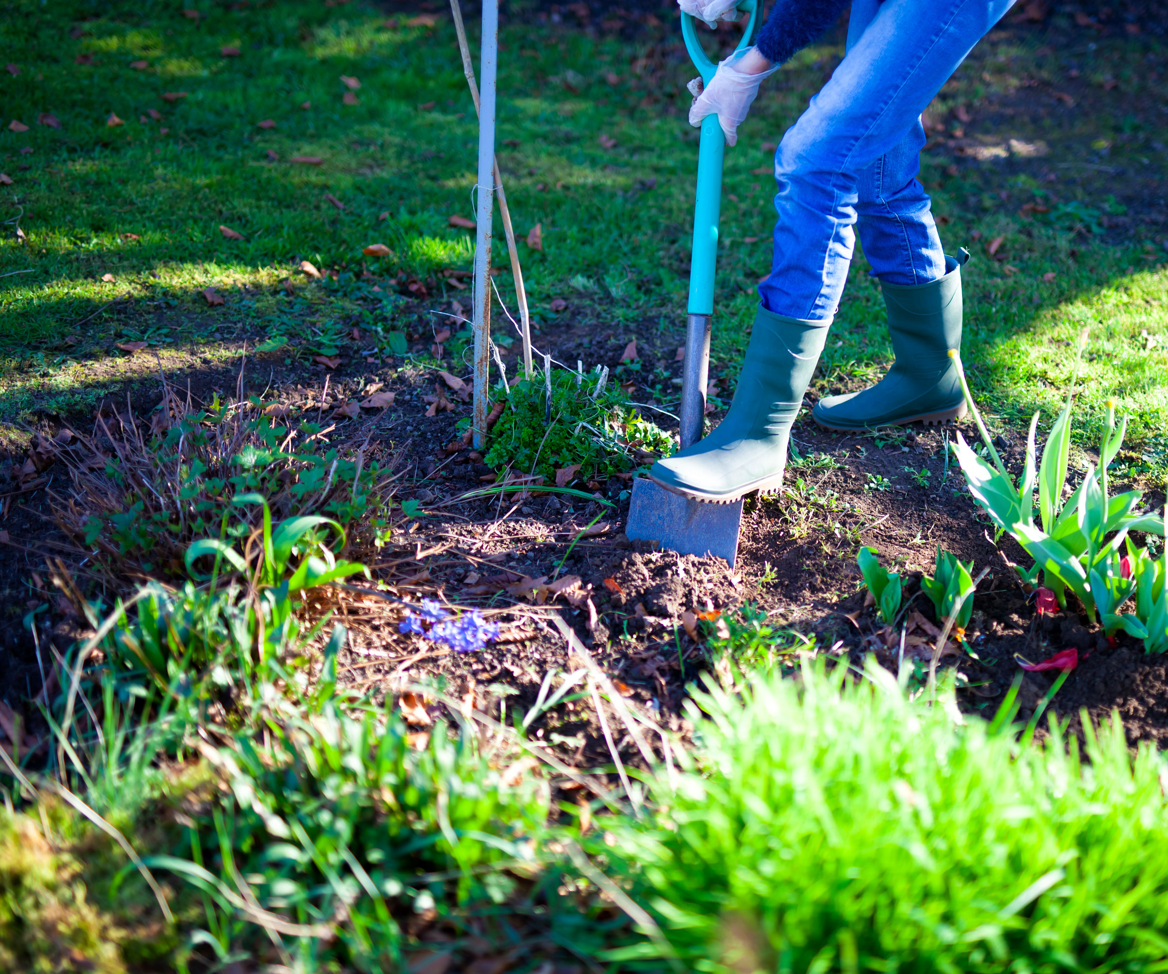 woman in wellington boots digging a hole with a spade in a flowerbed