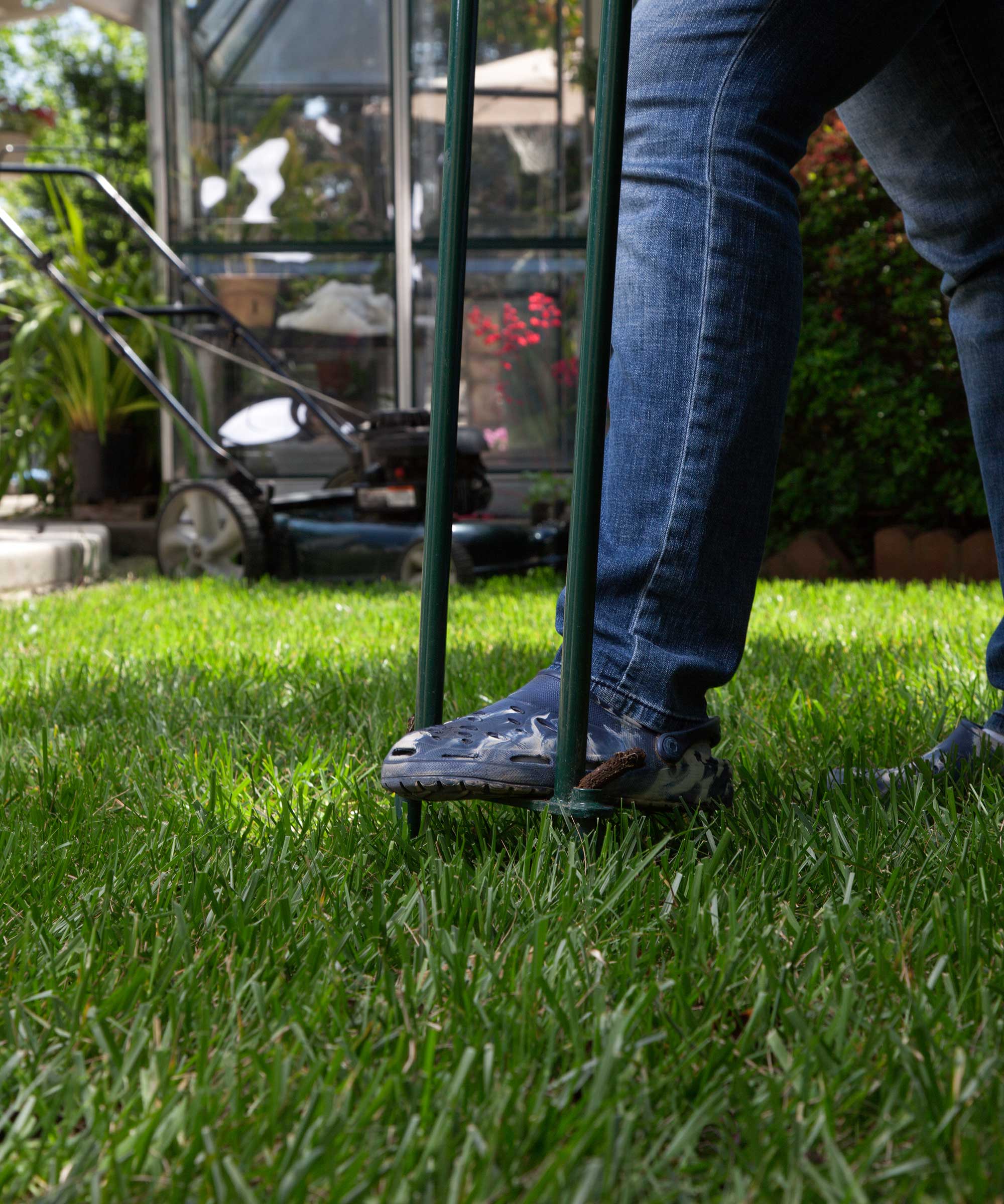 person wearing jeans using an aerating garden tool to aerate an area of lawn