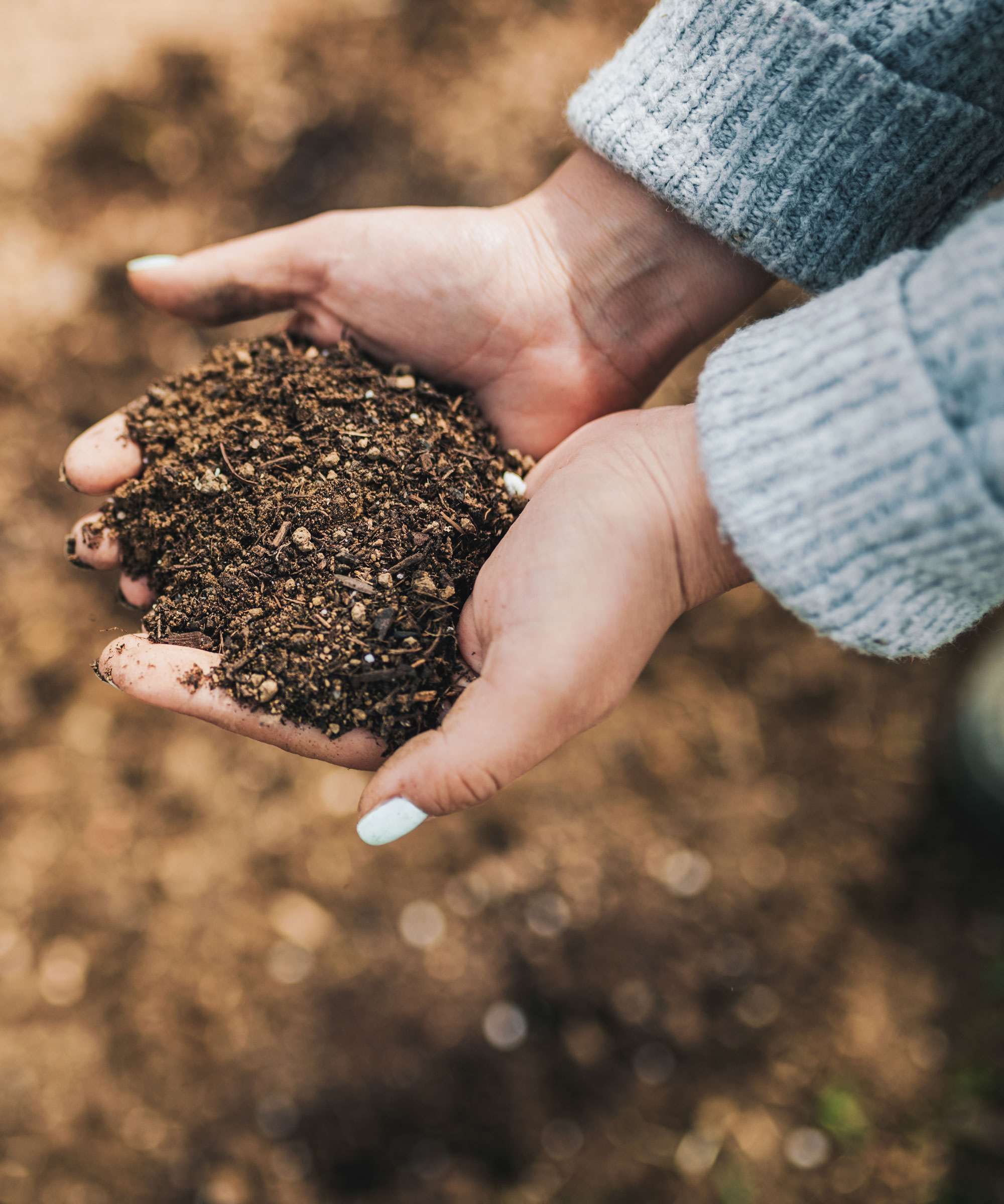 woman's hands holding a small pile of soil