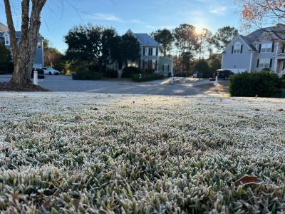 Get Your Lawn Ready for Freezing Temperatures