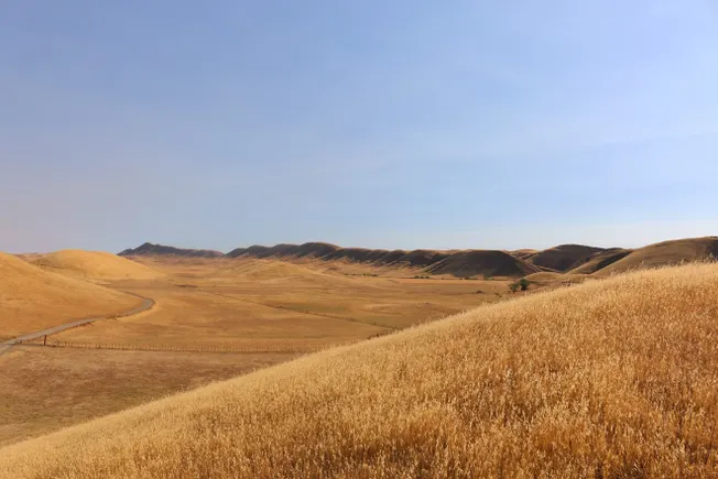 California’s $6B Sites Reservoir picks Barnard for CMAR contract